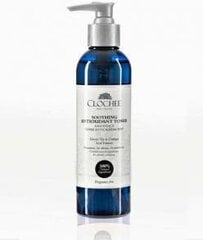 Raminamasis veido tonikas Clochee Soothing Antioxidant Toner, 250 ml kaina ir informacija | Clochee Kvepalai, kosmetika | pigu.lt