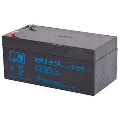 MWPower MW 12Вт 3.4мАч F1(187) AGM аккумулятор, 6-9 лет цена и информация | Батарейки | pigu.lt