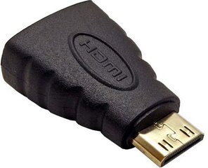 Adapter AV HDMI Mini - HDMI kaina ir informacija | Adapteriai, USB šakotuvai | pigu.lt