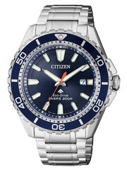 Мужские часы Citizen_BN0191-80L цена и информация | Мужские часы | pigu.lt