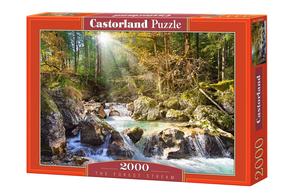 Dėlionė Castorland Puzzle The forest stream, 2000 d. цена и информация | Dėlionės (puzzle) | pigu.lt