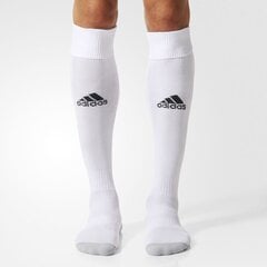 Futbolo kojinės Adidas milano 16 AJ5905, baltos kaina ir informacija | Adidas Sportas, laisvalaikis, turizmas | pigu.lt