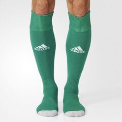 Футбольные Носки Adidas Milano 16 Aj5908 /e19297, Зеленый цена и информация | Adidas teamwear Спорт, досуг, туризм | pigu.lt