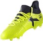 Futbolo bateliai Adidas X 17.1 Jr S82297, 60165 kaina ir informacija | Futbolo bateliai | pigu.lt