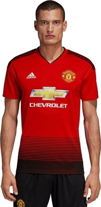 Adidas Manchester United vyriški marškinėliai, M цена и информация | Futbolo apranga ir kitos prekės | pigu.lt