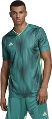 Marškinėliai Adidas Tiro 19, žali kaina ir informacija | Futbolo apranga ir kitos prekės | pigu.lt
