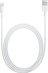 Kabel USB Apple USB-A - Lightning 2 m Biały (MD819ZM/A) цена и информация | Кабели для телефонов | pigu.lt