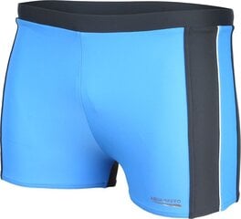 Шорты для плавания Aqua-Speed Jason M синие, 44097 цена и информация | Плавки, плавательные шорты | pigu.lt