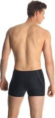 Плавательные шорты для мужчин Aqua- Speed Harry 44274- 44289 (55720) цена и информация | Плавки, плавательные шорты | pigu.lt