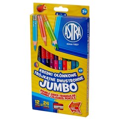 Dvipusiai spalvoti pieštukai Astra, 12 vnt kaina ir informacija | Piešimo, tapybos, lipdymo reikmenys | pigu.lt
