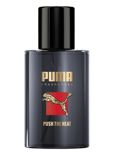 Tualetinis vanduo Puma Push The Heat Man EDT vyrams 50 ml цена и информация | Kvepalai vyrams | pigu.lt