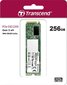 Transcend TS256GMTE220S цена и информация | Vidiniai kietieji diskai (HDD, SSD, Hybrid) | pigu.lt