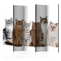 Pertvara - Mielos katės II [Kambario pertvaros] цена и информация | Мобильные стенки | pigu.lt