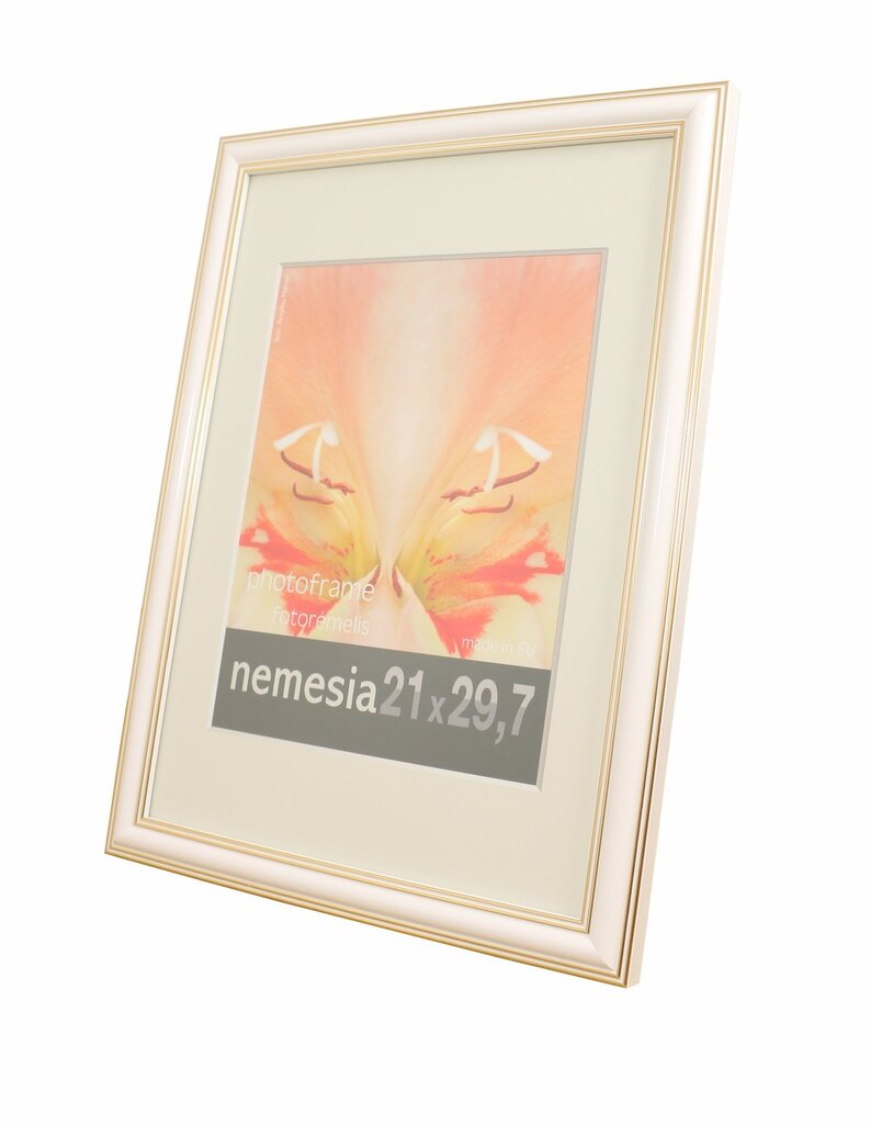 Nuotraukų rėmelis Nemesia 21x29,7 cm kaina ir informacija | Rėmeliai, nuotraukų albumai | pigu.lt