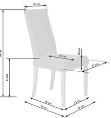 Комплект 2-х стульев Halmar Diego, цвет серый/дуб цена и информация | Стулья для кухни и столовой | pigu.lt