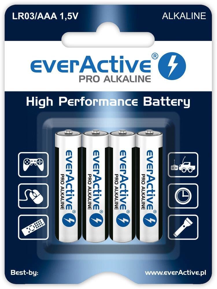 everActive LR034BLPA kaina ir informacija | Akumuliatoriai vaizdo kameroms | pigu.lt