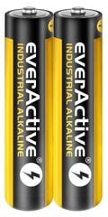 everActive EVLR03S2IK цена и информация | Аккумуляторы для видеокамер | pigu.lt