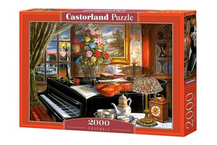 Пазл Castorland Puzzle Ensemble, 2000 д. цена и информация | Пазлы | pigu.lt