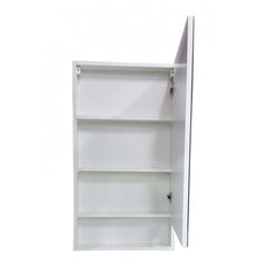 Подвесной шкафчик с зеркалом 05003 E50, белый цена и информация | Шкафчики для ванной | pigu.lt
