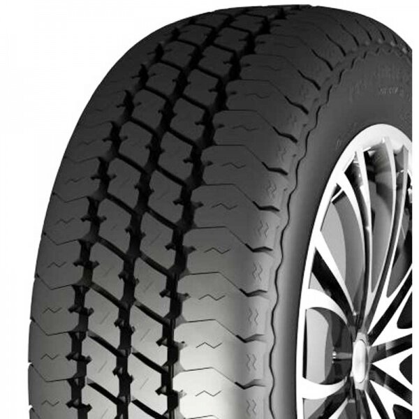 Nankang TR-10 195/50R13C kaina ir informacija | Vasarinės padangos | pigu.lt