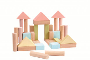 Блоки PlanToys 40 Unit Blocks цена и информация | Конструкторы и кубики | pigu.lt