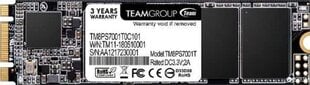 Team Group MS30 TM8PS7001T0C101 цена и информация | Внутренние жёсткие диски (HDD, SSD, Hybrid) | pigu.lt