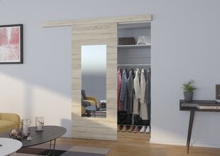 Двери для ниши с зеркалом Nela 90, цвета дуба цена и информация | Шкафы | pigu.lt