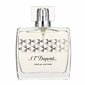 Tualetinis vanduo S. T. Dupont Special Edition EDT vyrams 100 ml цена и информация | Kvepalai vyrams | pigu.lt