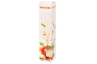 Bispol домашний запах с палочками Apple Cinnamon, 45 мл цена и информация | Ароматы для дома | pigu.lt