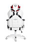 Žaidimų kėdė Diablo X-Ray L, balta/juoda kaina ir informacija | Biuro kėdės | pigu.lt