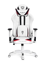 Tип B. Игровое кресло Diablo X-Ray L, белый/черный цена и информация | Офисные кресла | pigu.lt