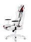 Žaidimų kėdė Diablo X-Ray L, balta/juoda цена и информация | Biuro kėdės | pigu.lt