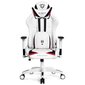 Žaidimų kėdė Diablo X-Ray 2.0 karališka, balta/juoda kaina ir informacija | Biuro kėdės | pigu.lt