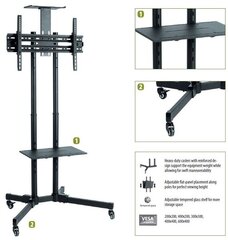 Sunne Floor stand, S112 multifunctional  цена и информация | Кронштейны и крепления для телевизоров | pigu.lt