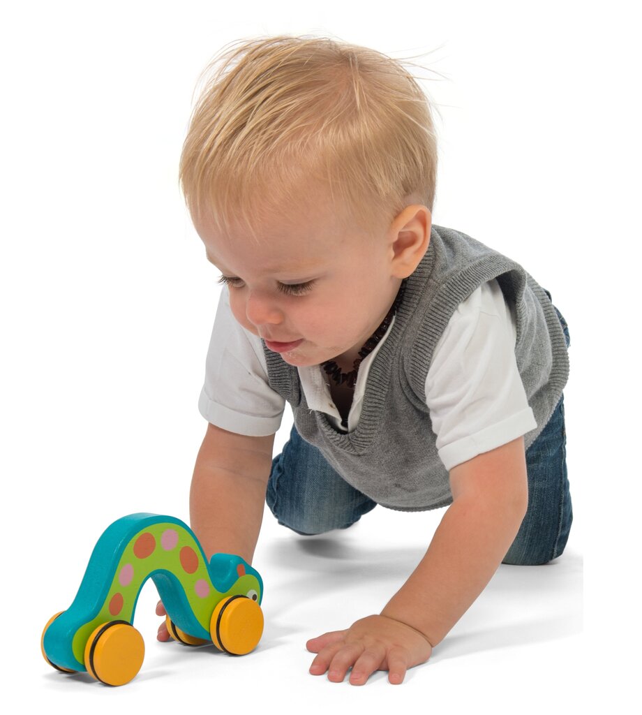 Medinis žaislas - Kirminukas, Le Toy Van PL034 kaina ir informacija | Žaislai kūdikiams | pigu.lt