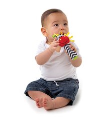 Пищащее животное Зебра Playgro, 0183439 цена и информация | Игрушки для малышей | pigu.lt