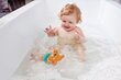 Vonios žaislas Tedis plaukikas Hape, E0204 kaina ir informacija | Žaislai kūdikiams | pigu.lt