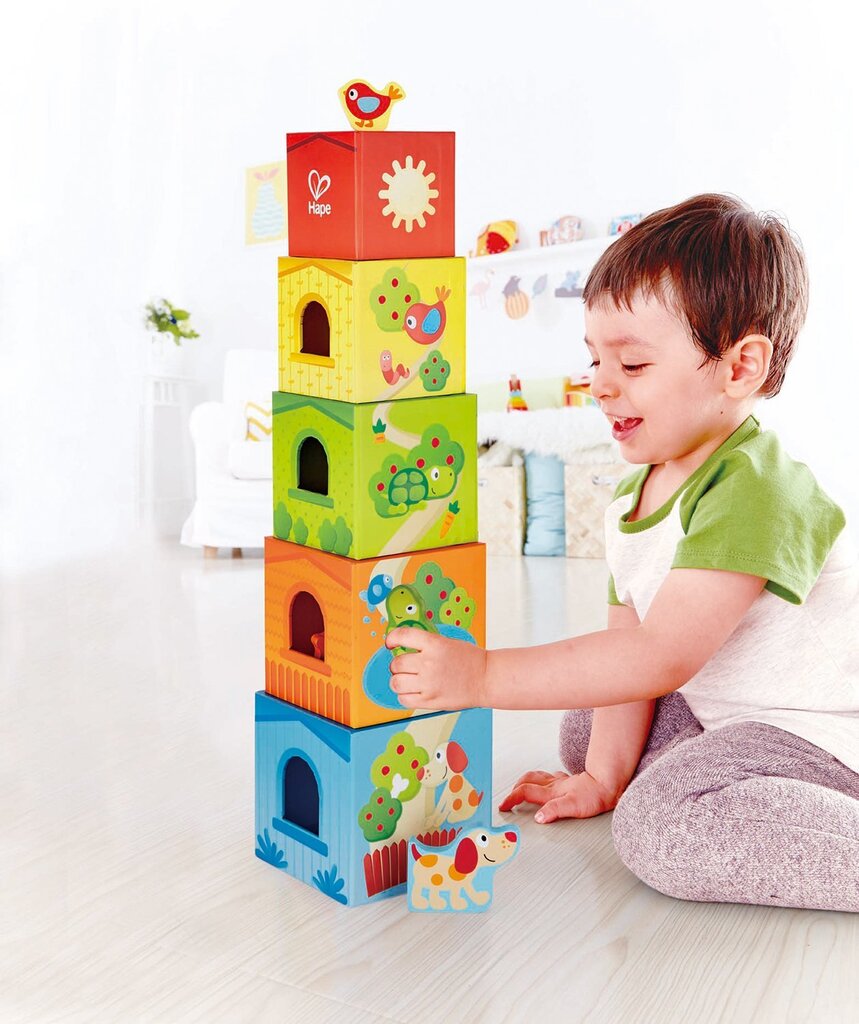Didelės medinė kaladėlės Pepė ir draugai Hape, E0451A kaina ir informacija | Žaislai kūdikiams | pigu.lt