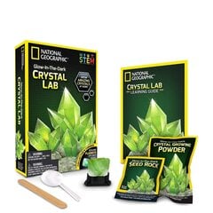 Mokslinis žaidimas Užaugink kristalą National Geographic Crystal Grow Green, NGGIDCRYSTAL kaina ir informacija | Lavinamieji žaislai | pigu.lt
