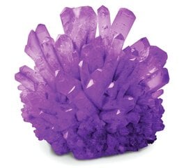 Mokslinis žaidimas Užaugink kristalą National Geographic Crystal Grow Purple, NGPCRYSTAL kaina ir informacija | Lavinamieji žaislai | pigu.lt