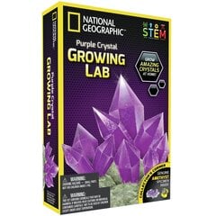 Научная игра Выращивание кристалла National Geographic Crystal Grow Purple, NGPCRYSTAL kaina ir informacija | Развивающие игрушки | pigu.lt