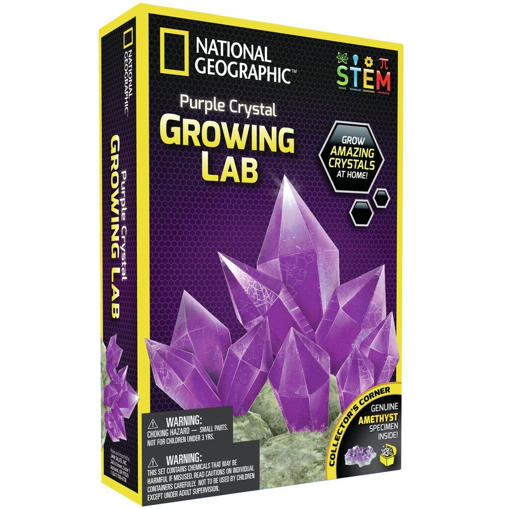 Mokslinis žaidimas Užaugink kristalą National Geographic Crystal Grow Purple, NGPCRYSTAL цена и информация | Lavinamieji žaislai | pigu.lt