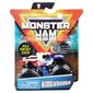 Visureigis Monster Jam 1:64, vienguba pakuotė, 6044941 kaina ir informacija | Žaislai berniukams | pigu.lt