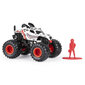 Visureigis Monster Jam 1:64, vienguba pakuotė, 6044941 kaina ir informacija | Žaislai berniukams | pigu.lt