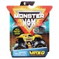 Visureigis Monster Jam 1:64, vienguba pakuotė, 6044941 kaina ir informacija | Žaislai berniukams | pigu.lt