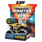 Visureigis Monster Jam 1:64, vienguba pakuotė, 6044941 цена и информация | Žaislai berniukams | pigu.lt