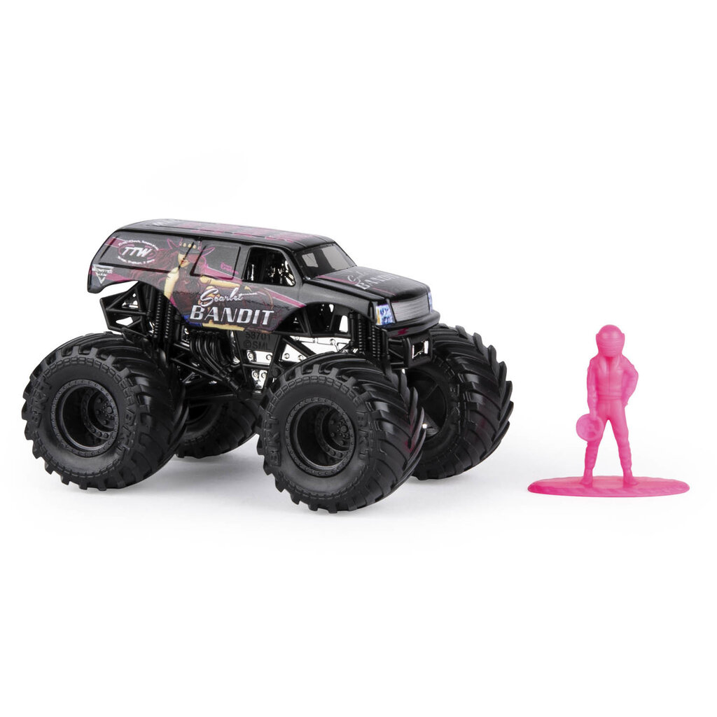 Visureigis Monster Jam 1:64, vienguba pakuotė, 6044941 цена и информация | Žaislai berniukams | pigu.lt