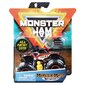 Visureigis Monster Jam 1:64, vienguba pakuotė, 6044941 цена и информация | Žaislai berniukams | pigu.lt