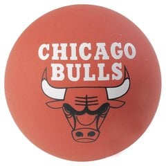 Баскетбольный мяч Spalding NBA Spaldeen Bulls, 6 см цена и информация | Баскетбольные мячи | pigu.lt