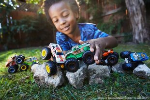 Mašinėlės Hot Wheels Monster Trucks, 2 vnt. kaina ir informacija | Žaislai berniukams | pigu.lt